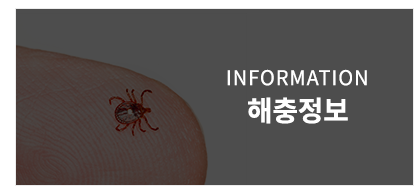 해충정보