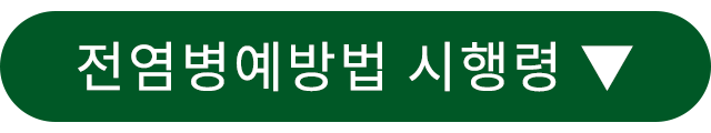 시행령