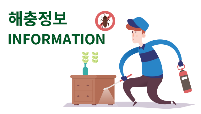 해충정보