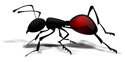 개미
